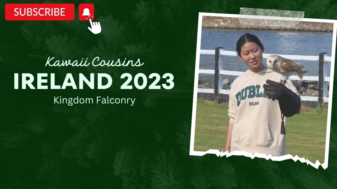 Kingdom Falconry | Dingle @KawaiiSistersSGP