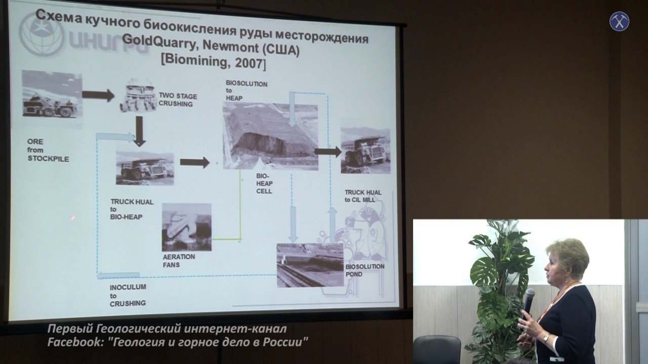 Кучное биоокисление бедных упорных золотосодержащих руд. Седельникова Галина Васильевна, ФГУП ЦНИГРИ