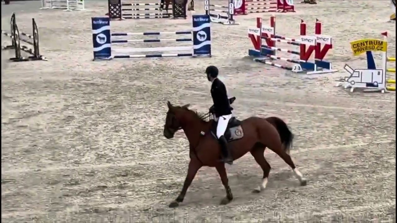 8yo gelding 115 level by Conthargos