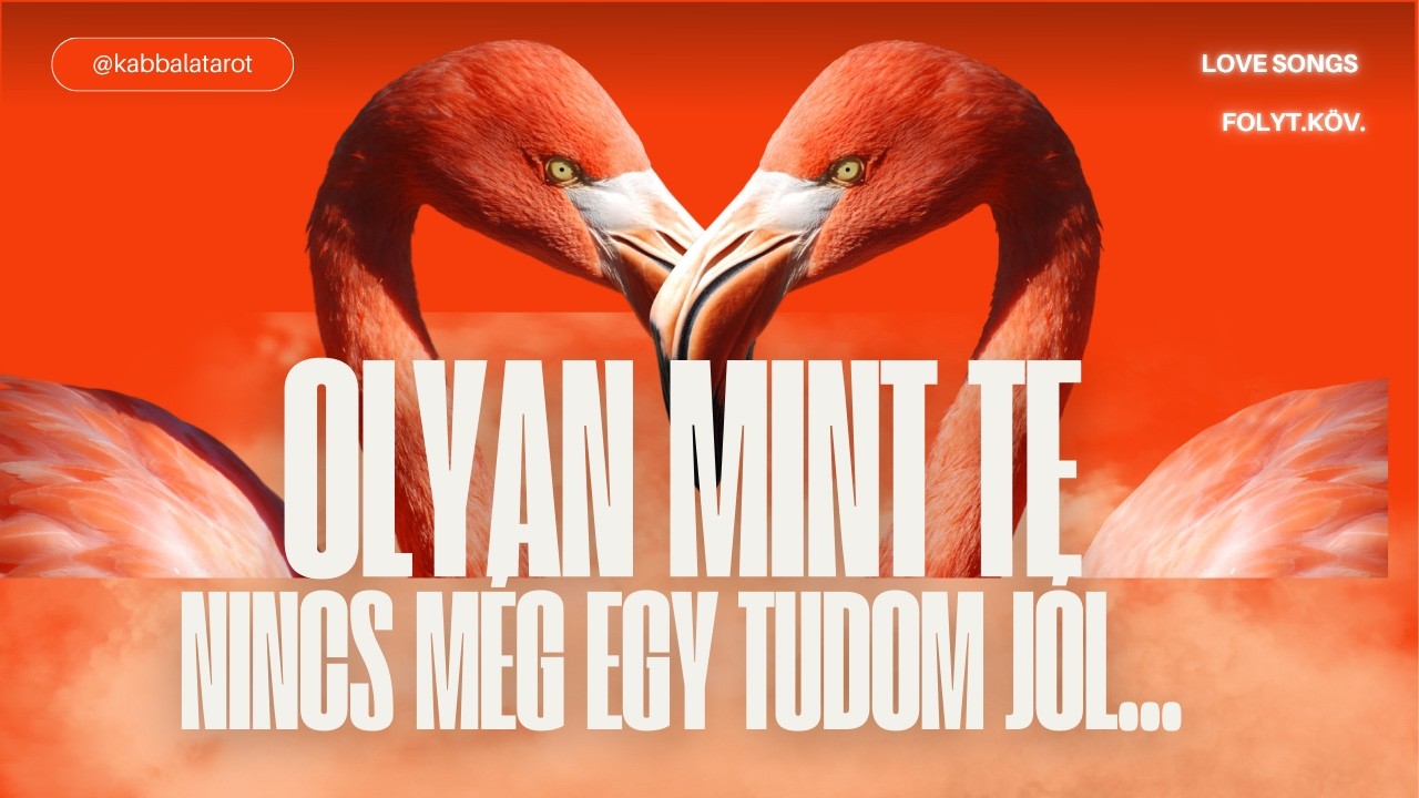 OLYAN MINT TE NINCS MÉG EGY- tudom jól..😍♥️