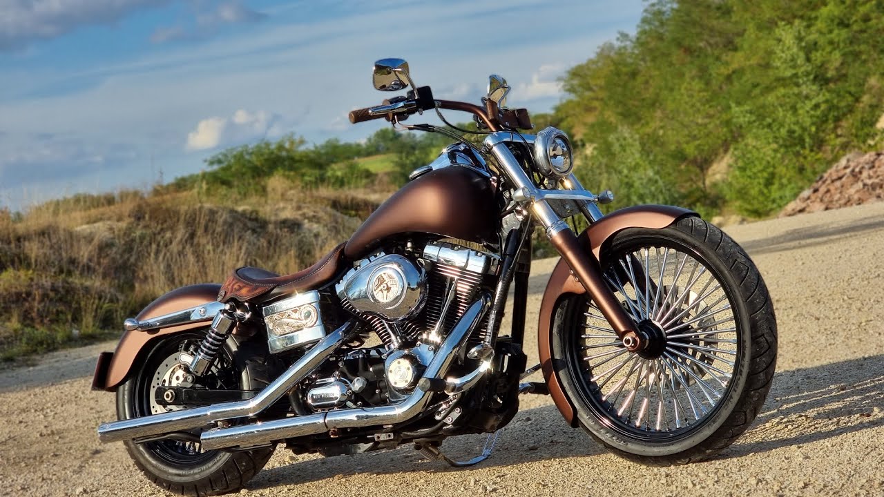 Harley-Davidson Dyna Low Rider Custom by Ferry🙊🙀☠️👌💥