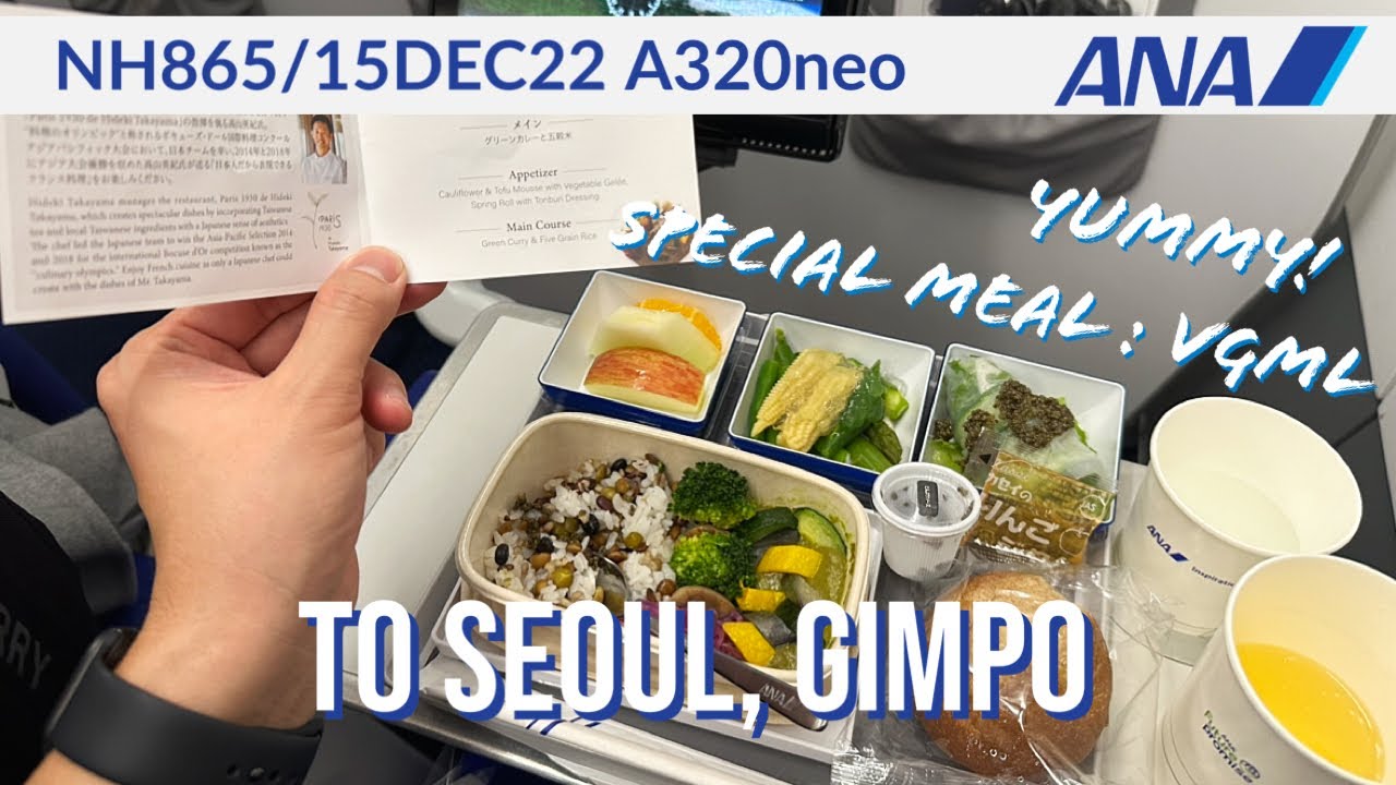 ✈️ Vegetarian Meal on ANA Economy ｜Tokyo to Seoul｜NH865