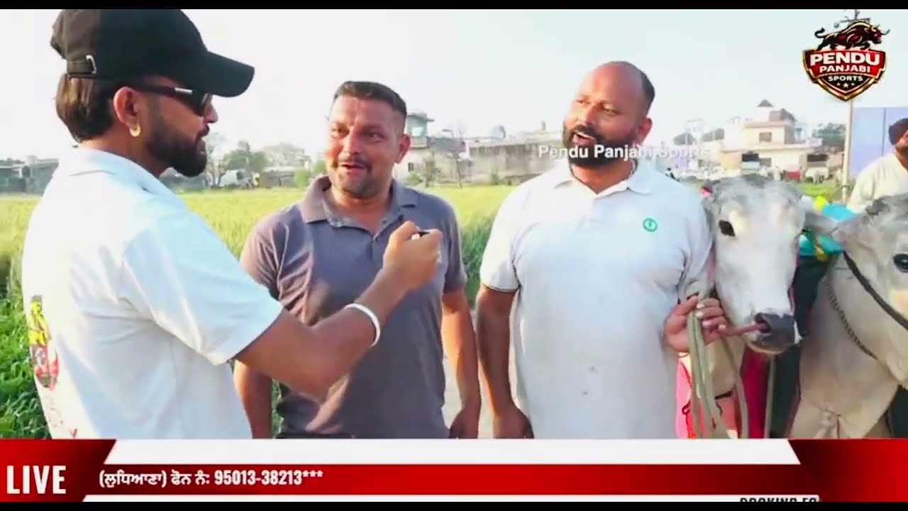 ਪਿੰਡ ਘੁੰਗਰਾਲੀ ਸਿੱਖਾਂ ਨੇੜੇ ਸਮਰਾਲ ਤੌ ਬੱਲਦਾਂ ਦੀਆਂ ਦੋੜਾਂ(interview)❤️💯📌