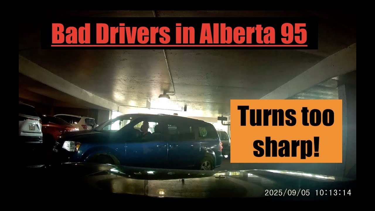 Bad Drivers in Alberta 95 | Hopeless Dopes.