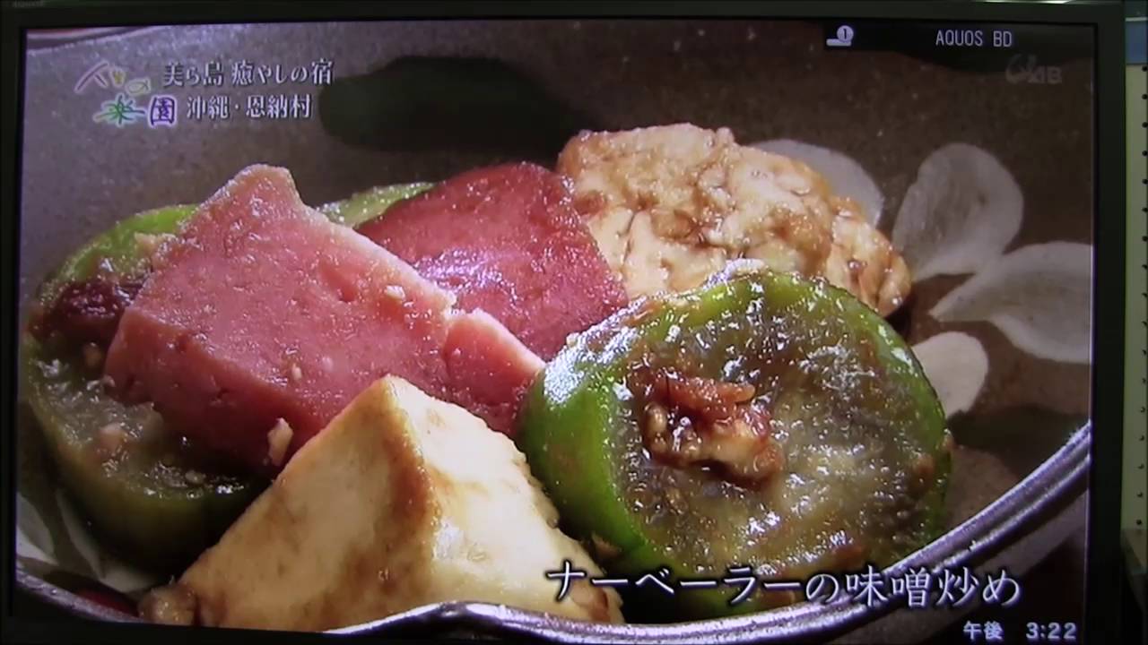 人生の楽園（ペンションほろほろ）H28.7.23放送