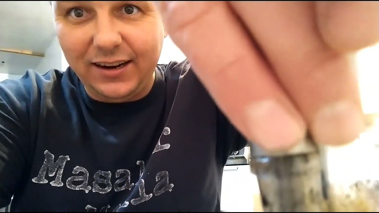 Pure Hash Rosin Dabs