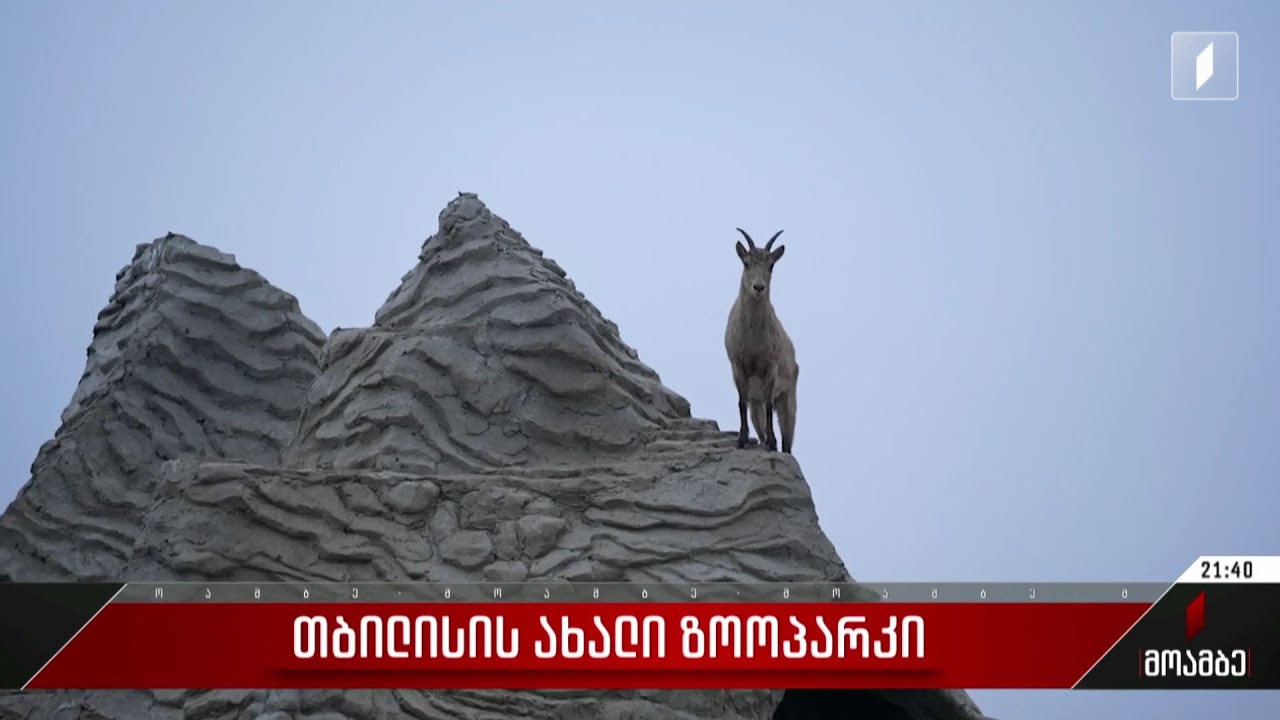 თბილისის ახალი ზოოპარკი