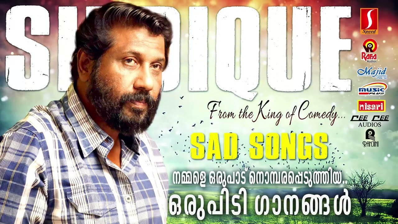 നമ്മളെ ഒരുപാട് നൊമ്പരപ്പെടുത്തിയ ഒരുപിടി ഗാനങ്ങൾ | Sad Songs Malayalam | Evergreen Malayalam Songs