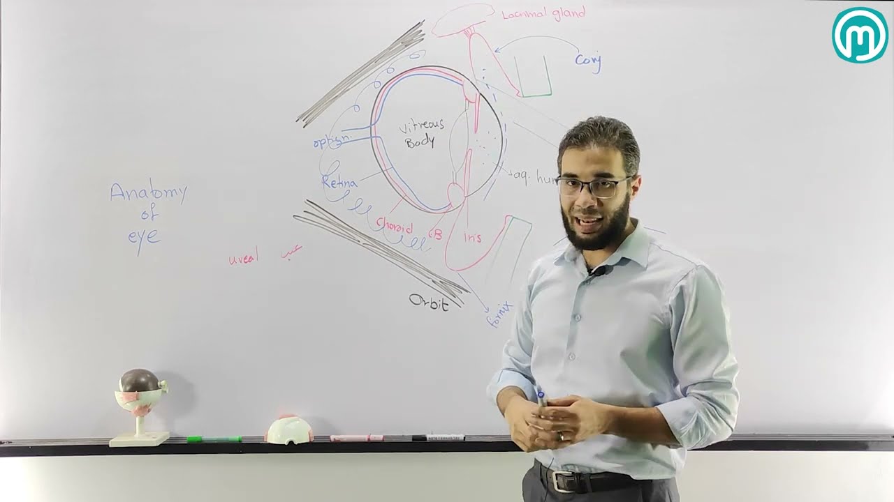 Anatomy of the eye with DR Ahmed Emara