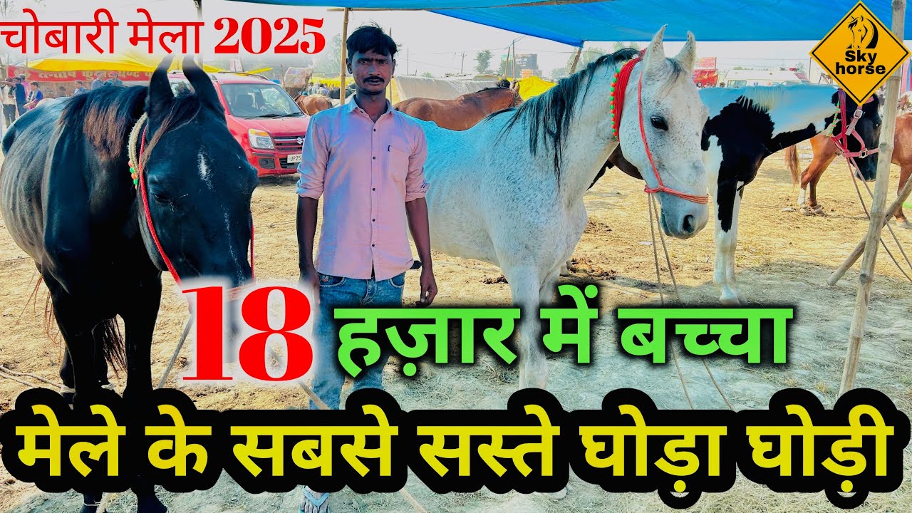 व्यापारी ने किया ऐलान मुझसे सस्ते घोड़े कोई नहीं देगा | #chobarighodamela
