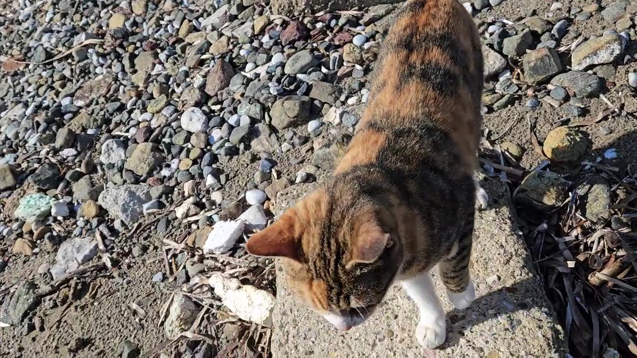 Очень красивый пляж на побережье Эгейского моря &mdash; потрясающие виды