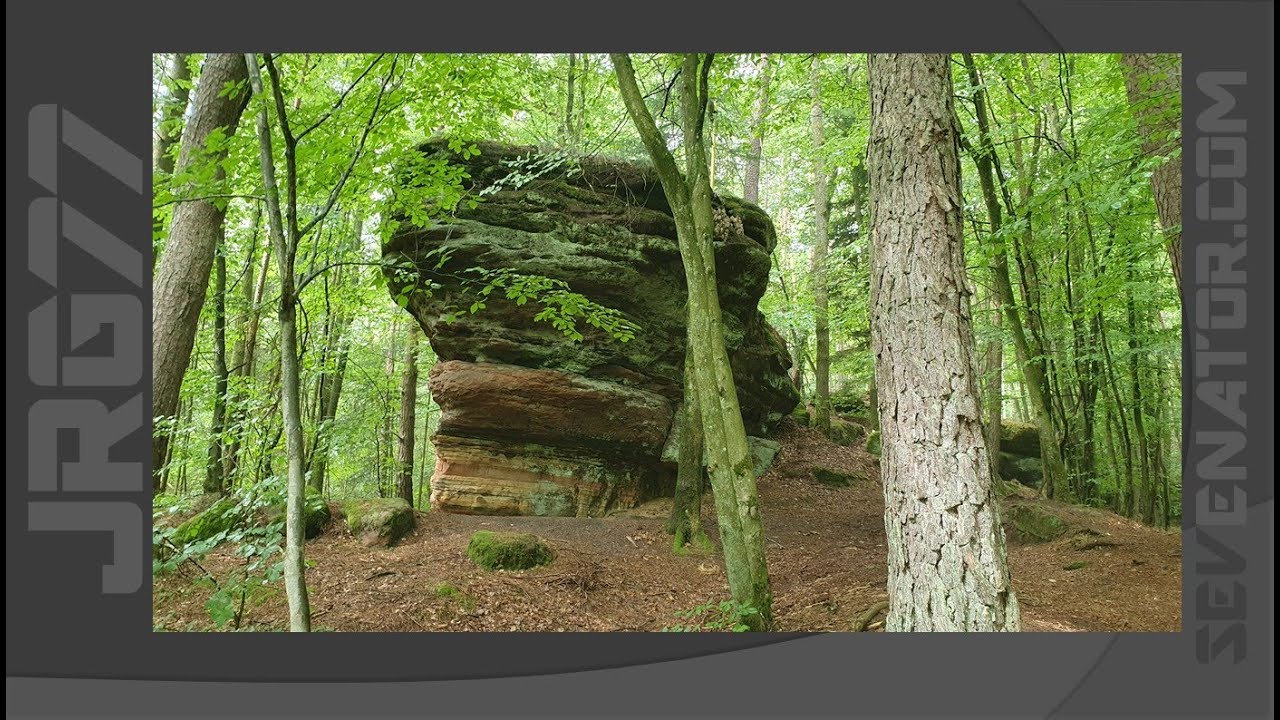 PfälzerWald Two - Felsenwald EJOYtheHIKE