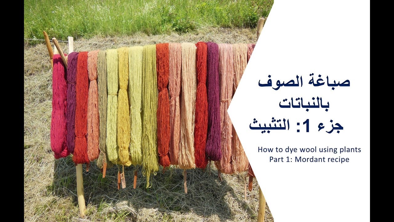 صباغة الصوف بالنباتات  جزء 1: التثبيث - Mordant recipe - Mordançage
