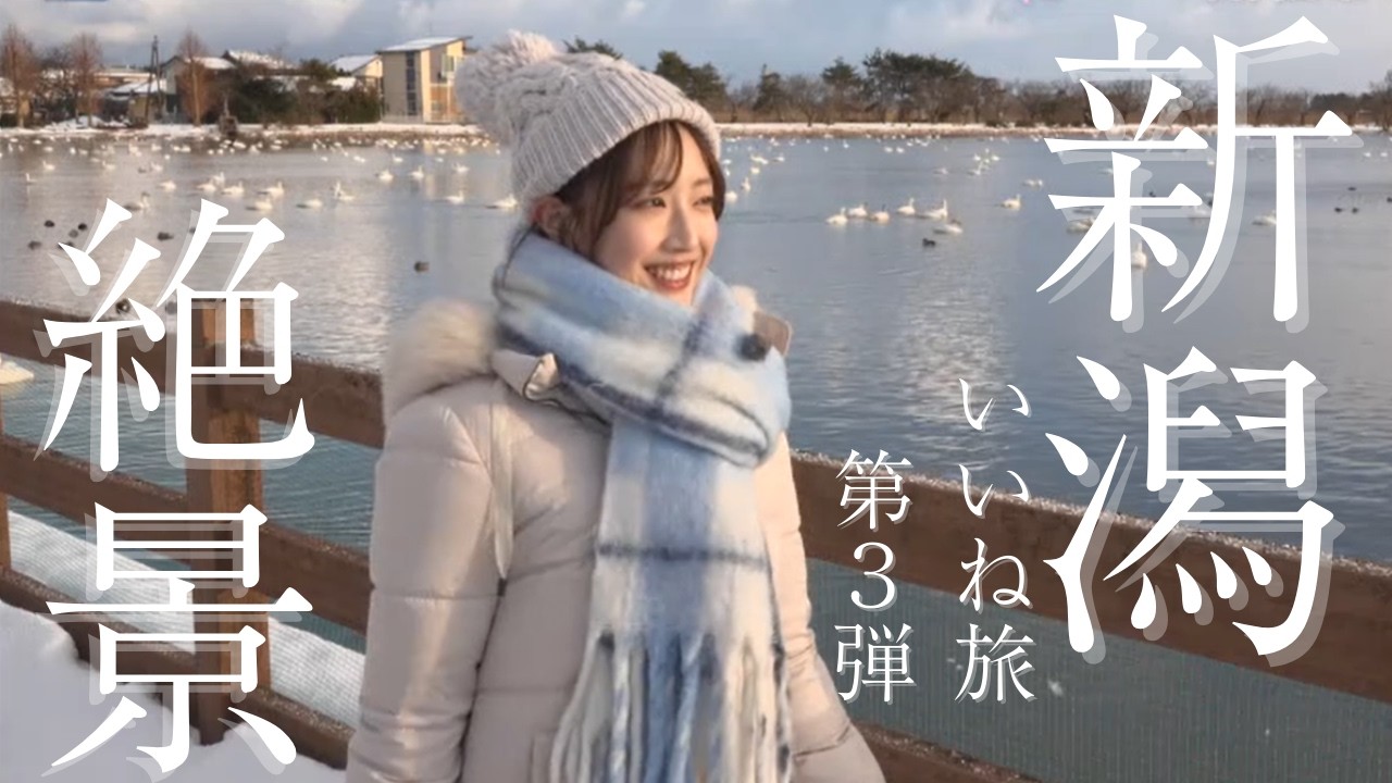 【阿賀野旅】早朝に白鳥の渡来地・瓢湖から旅をスタート！高濱優生乃のアポなし旅 #3