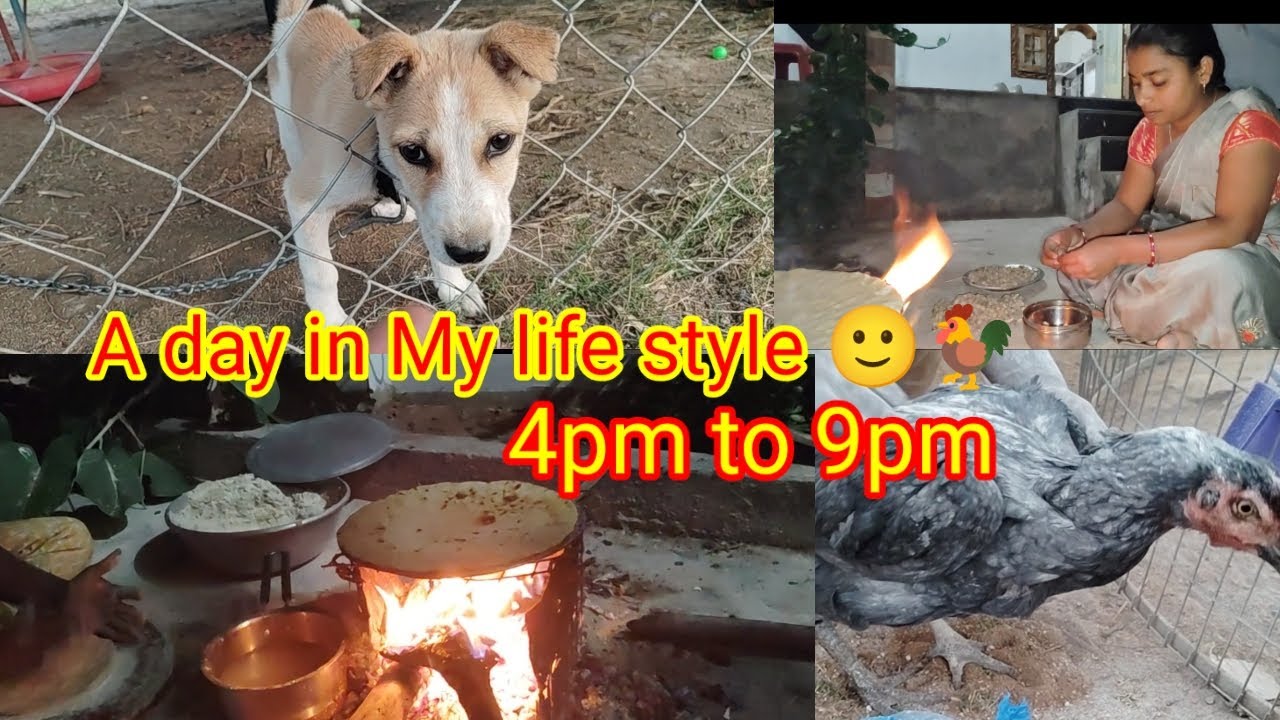 నా రోజు ఇలా గడిచింది#vlog#villagelife