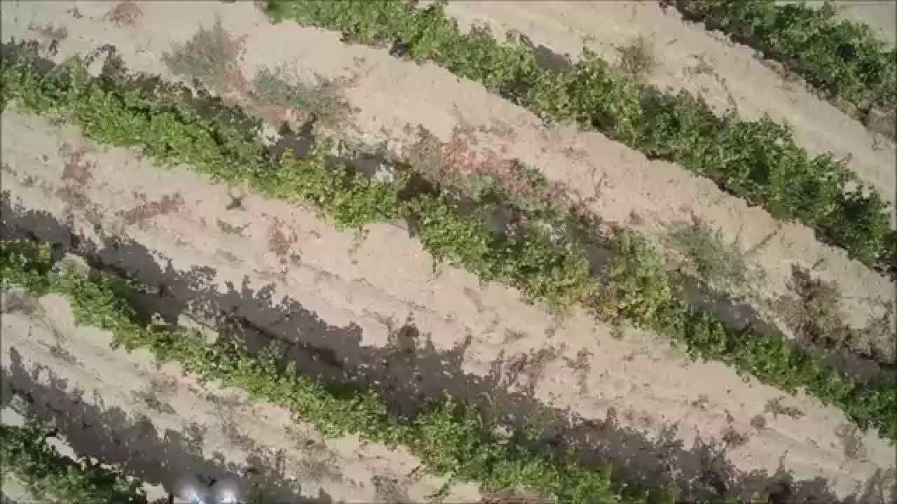 DRONELAB per l'agricoltura