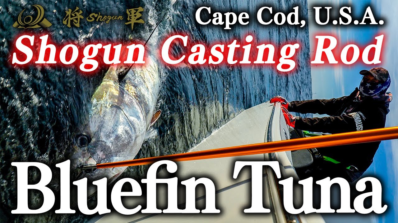 Large bluefin tuna caught by Shogun Rod Casting model in Cape Cod 2025 / アメリカ・ケープコッドの大型クロマグロ 2025