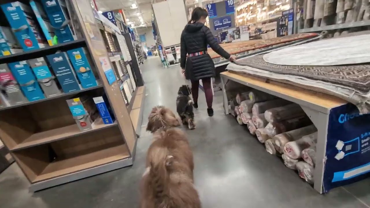 Perkins at Lowe's *no sound*