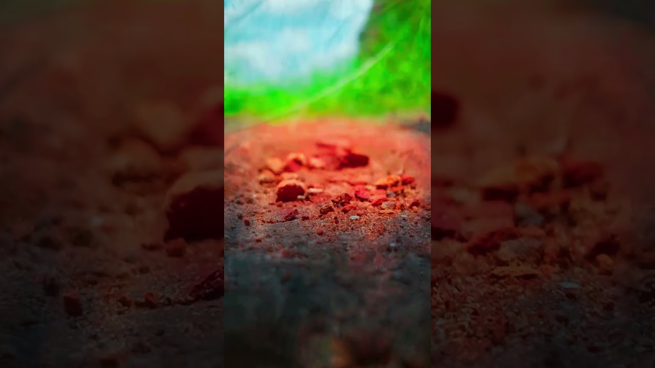 #attitude e #comedy #funnyvideo #funny