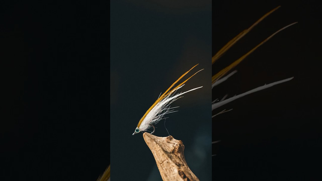 60 seconds fly tying &bull; Sandeel, baitfish pattern. #flytying #flytyingforbeginners #tutorial