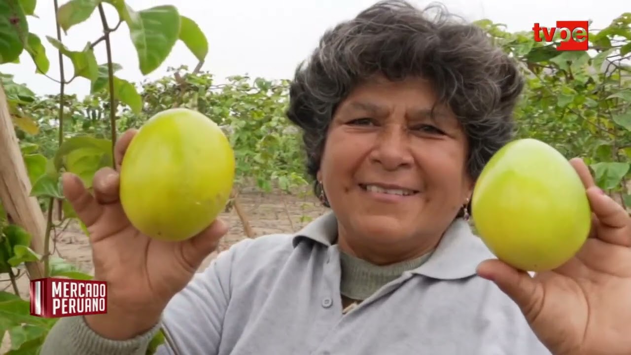 La ruta costera del maracuyá: Crece demanda mundial por esta fruta peruana - Tv Perú