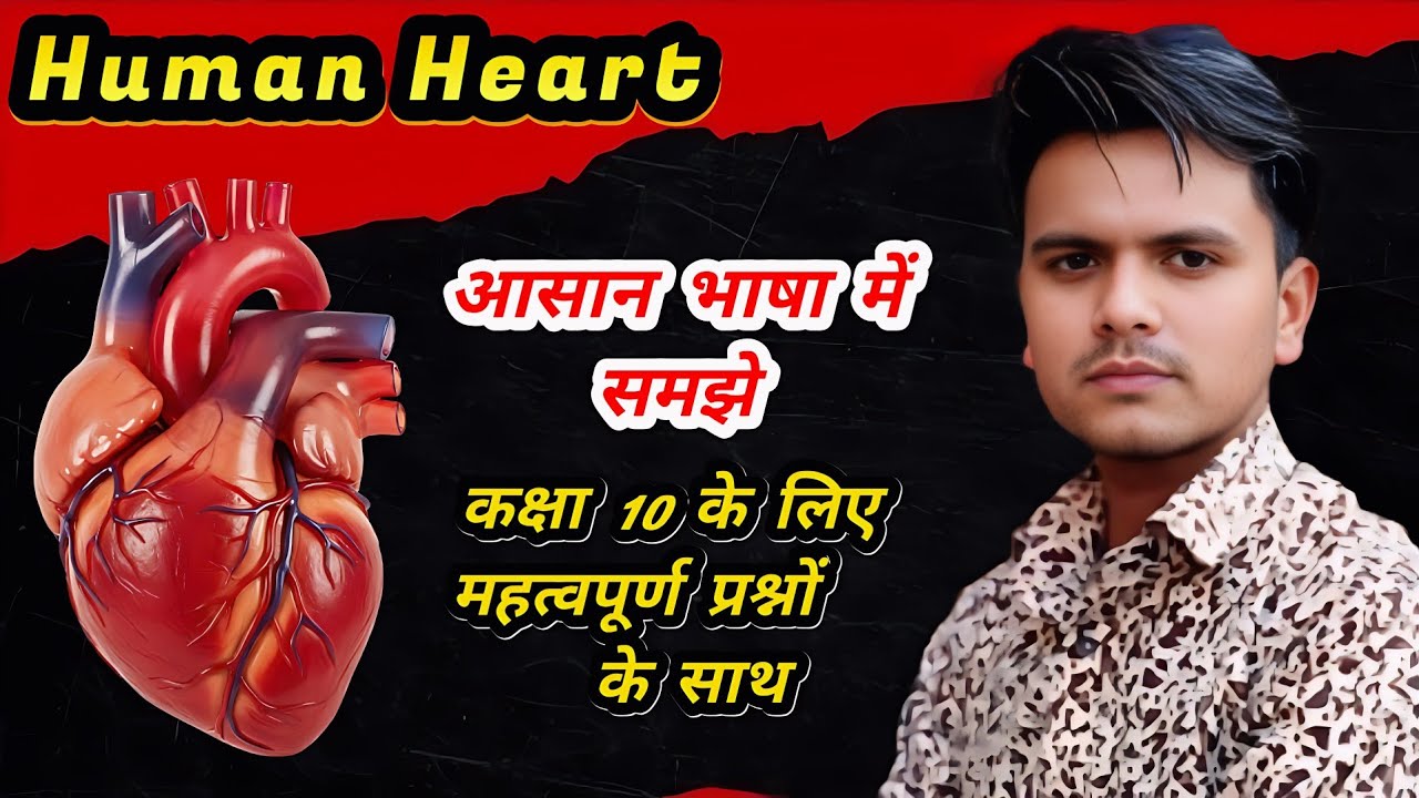 Heart || हृदय को आसान भाषा में समझो || Class 10th Science 