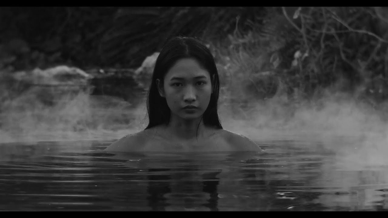 SCHNEWEISS - Shelter (Official Music Video)