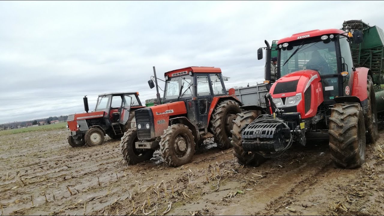 🌱 Kopanie Buraków z Nowym Nabytkiem 🌱 || Zetor  ||  Ursus  ||  Stoll  ||