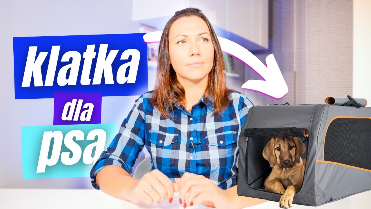 Klatka kennelowa dla psa - czy to dobry pomysł?