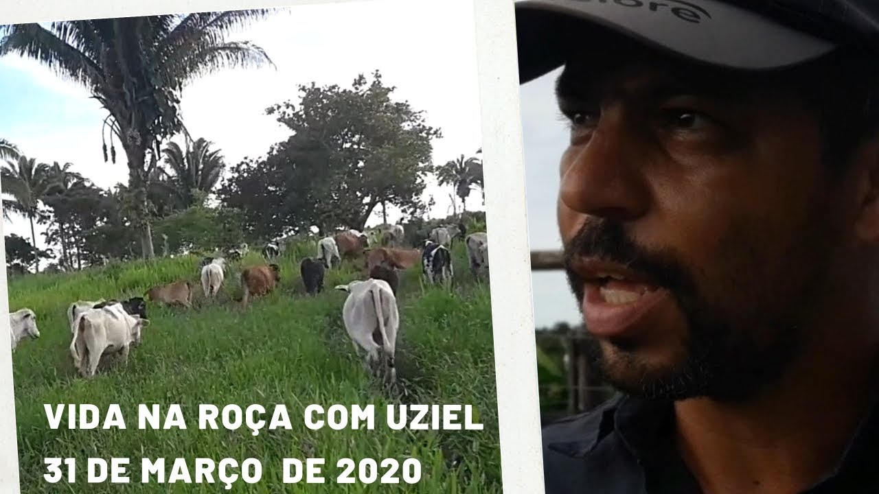Saiba como ter pastagem na &eacute;poca seca.