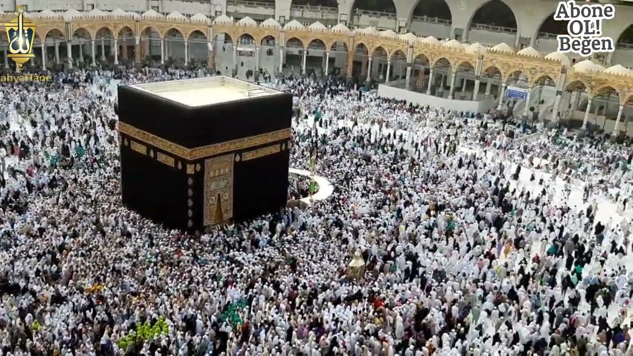 Kabilendir Beni Haşim Neslin Hz. İbrahim Zikirli İlahiler 