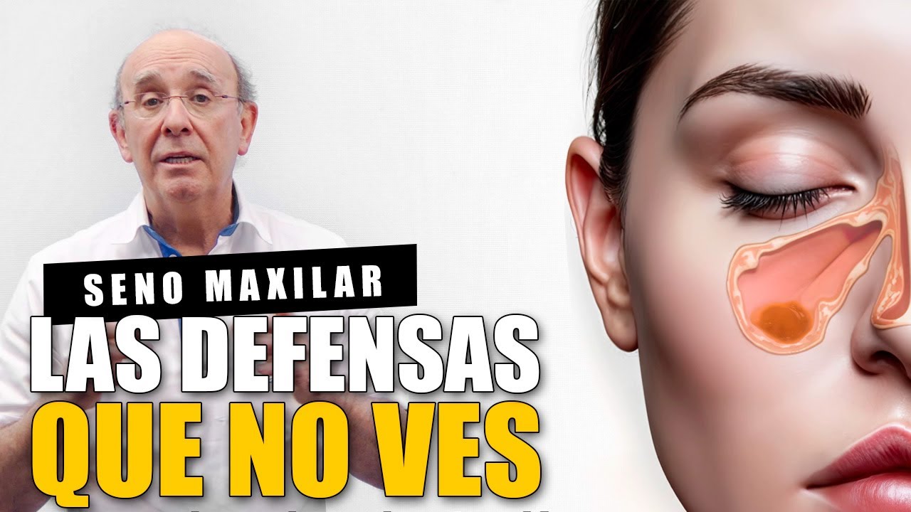 Seno maxilar y odontología