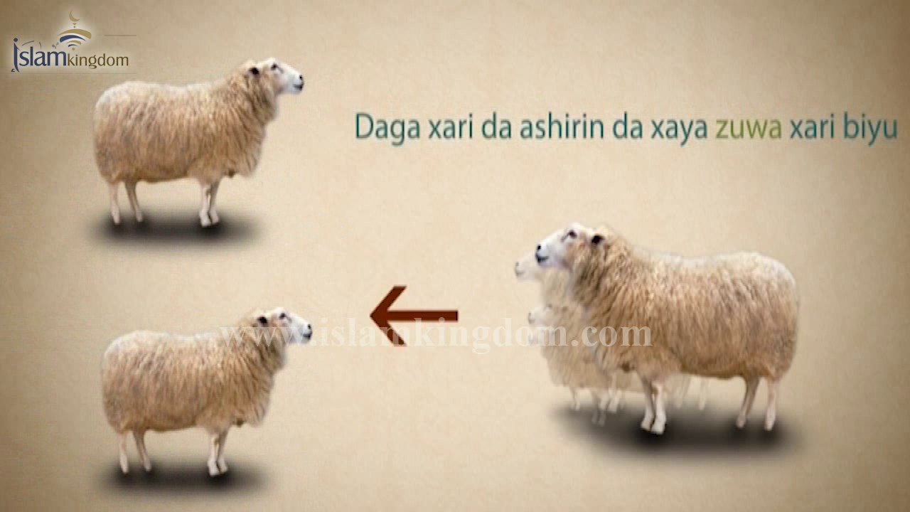 Zakkar Dabbobin Ni’ima | islamkingdom