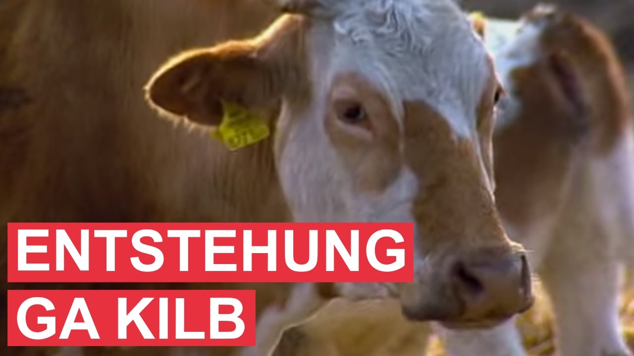 Rückblick: Die Entstehung von Gut Aiderbichl Kilb