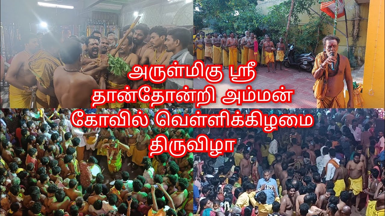 அருள்மிகு ஸ்ரீ தான்தோன்றி அம்மன் கோவில்  வெள்ளிக்கிழமை திருவிழா பெரவள்ளூர்