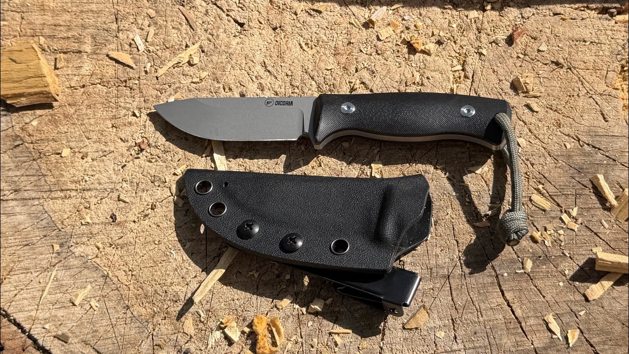 Dicoria DK18 14C28N test 🔥🔪🔥 #knifestuffwedo #knifetest #edcknife #huntingknife ##knifecommunity 