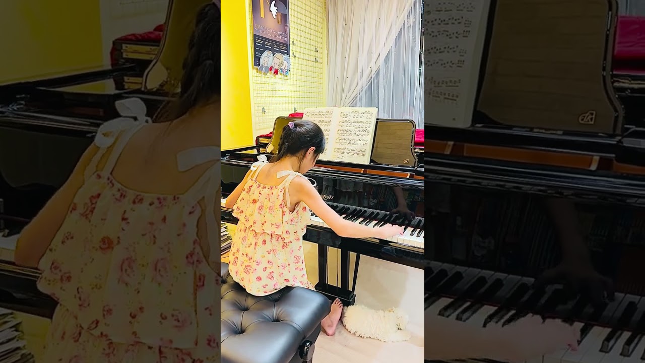 Chopin : Etude Op.10 No.3