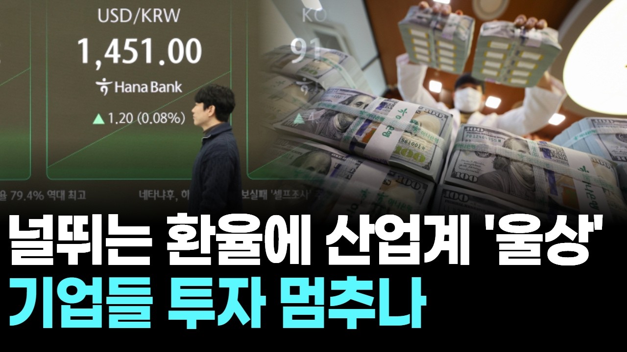 널뛰는 환율에 산업계 '울상'…기업들 투자 멈추나