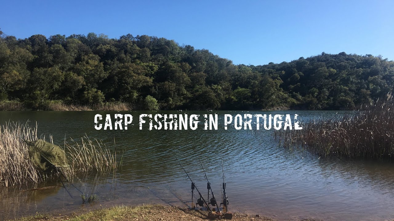 Carp Fishing In Portugal