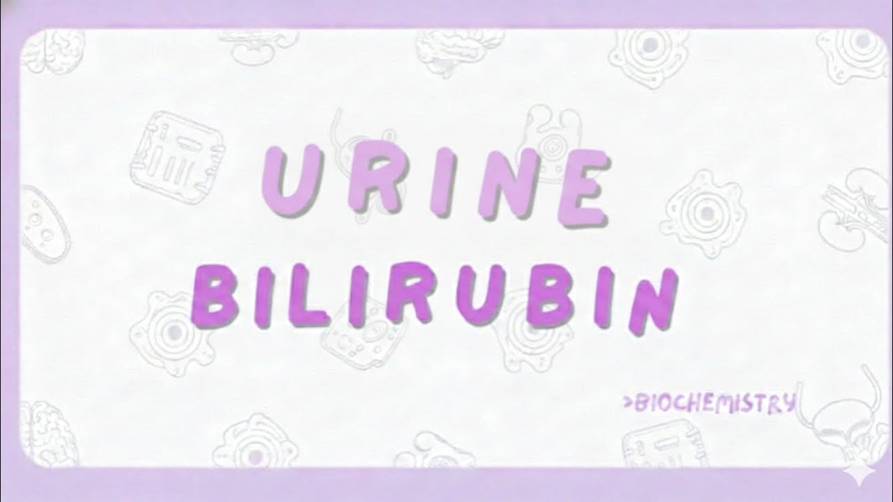 Urine bilirubin (determination + theory) 🫧