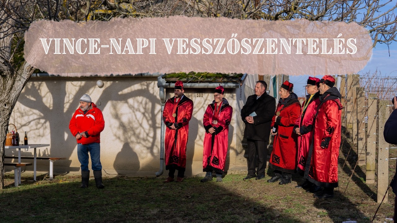Vince-napi Vesszőszentelés Vlog