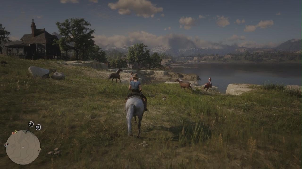 Wild horses!!!