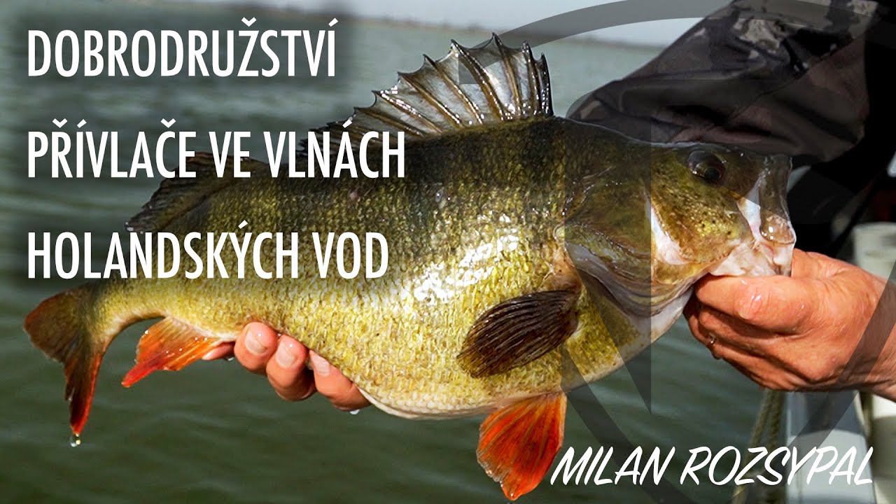 DOBRODRUŽSTVÍ PŘÍVLAČE VE VLNÁCH HOLANDSKÝCH VOD | Fox Rage
