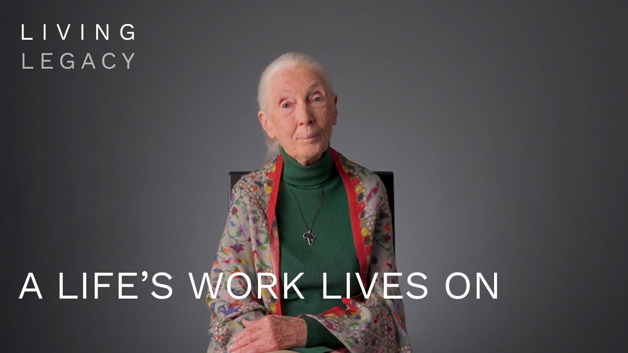 A life’s work lives on  | Living Legacy | BBC StoryWorks