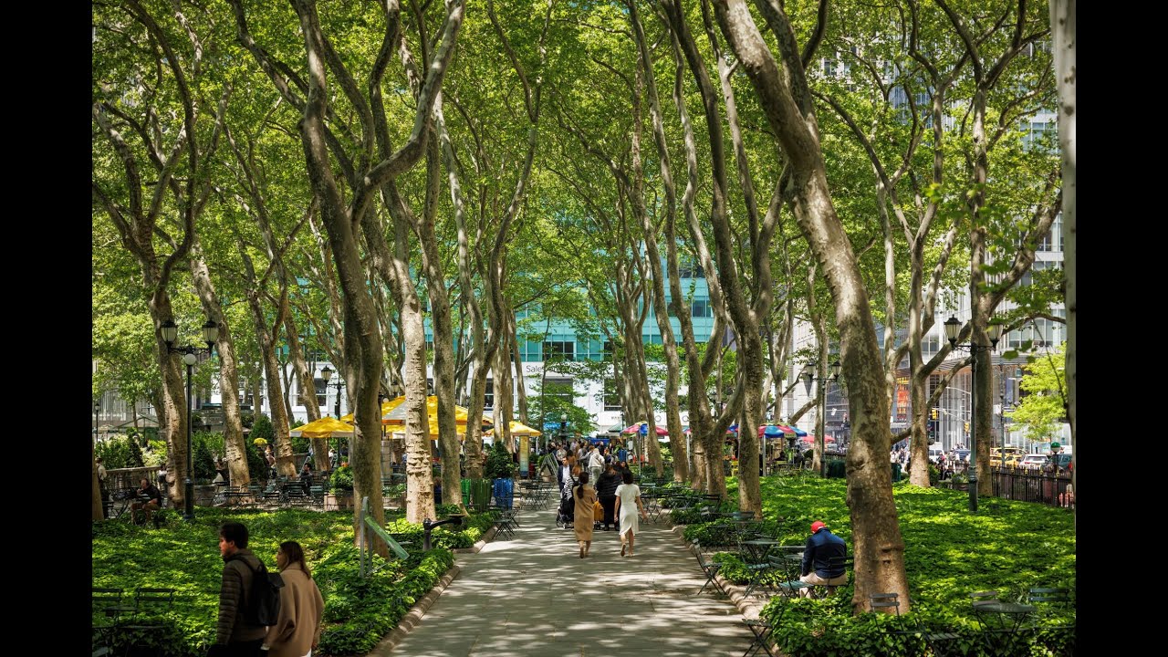 Bryant Park Webcam