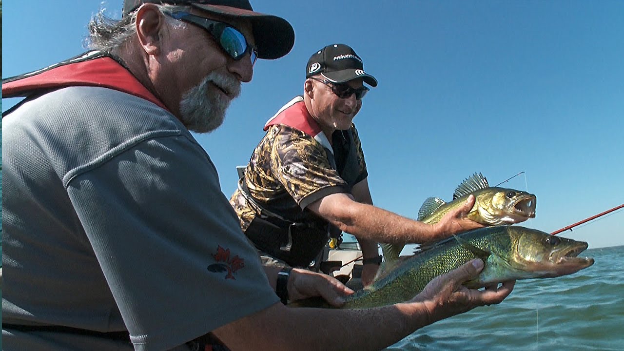 Giant Lures = Giant Alberta Walleye | Fish'n Canada