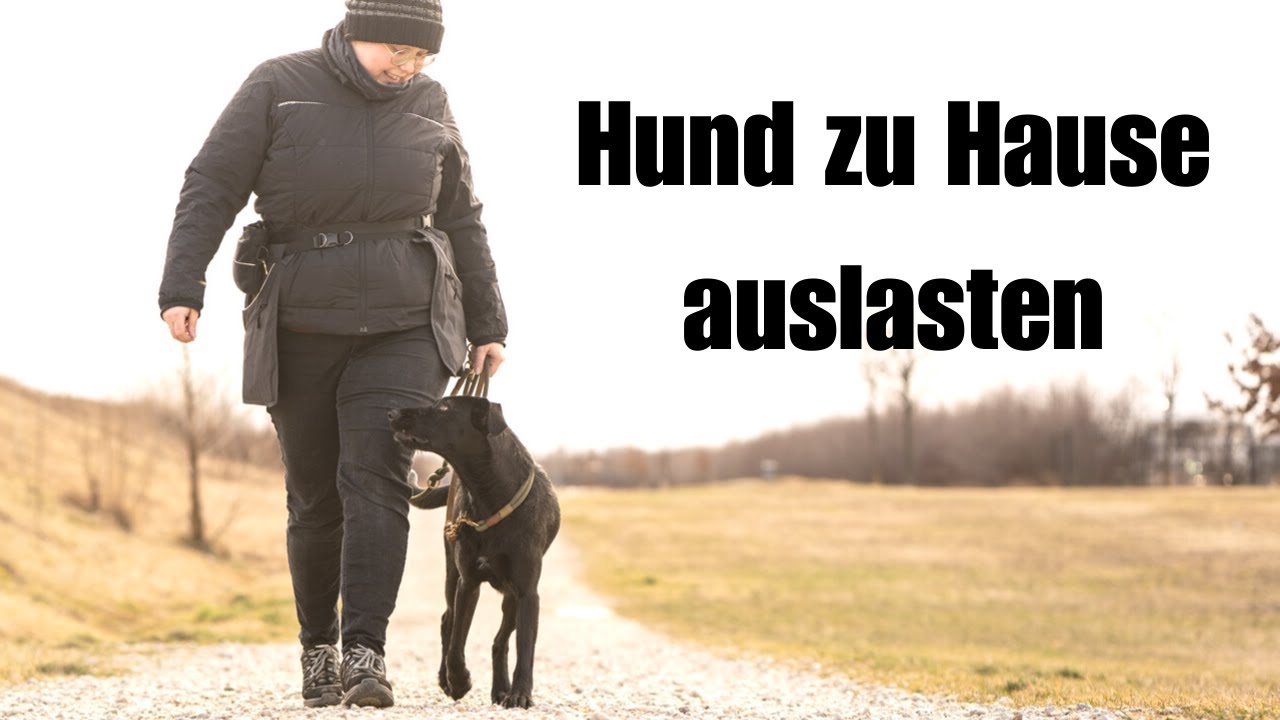 Ich bin kank - Wie beschäftige ich meinen Hund drinnen? VLOG mit Trainingsideen für zu Hause