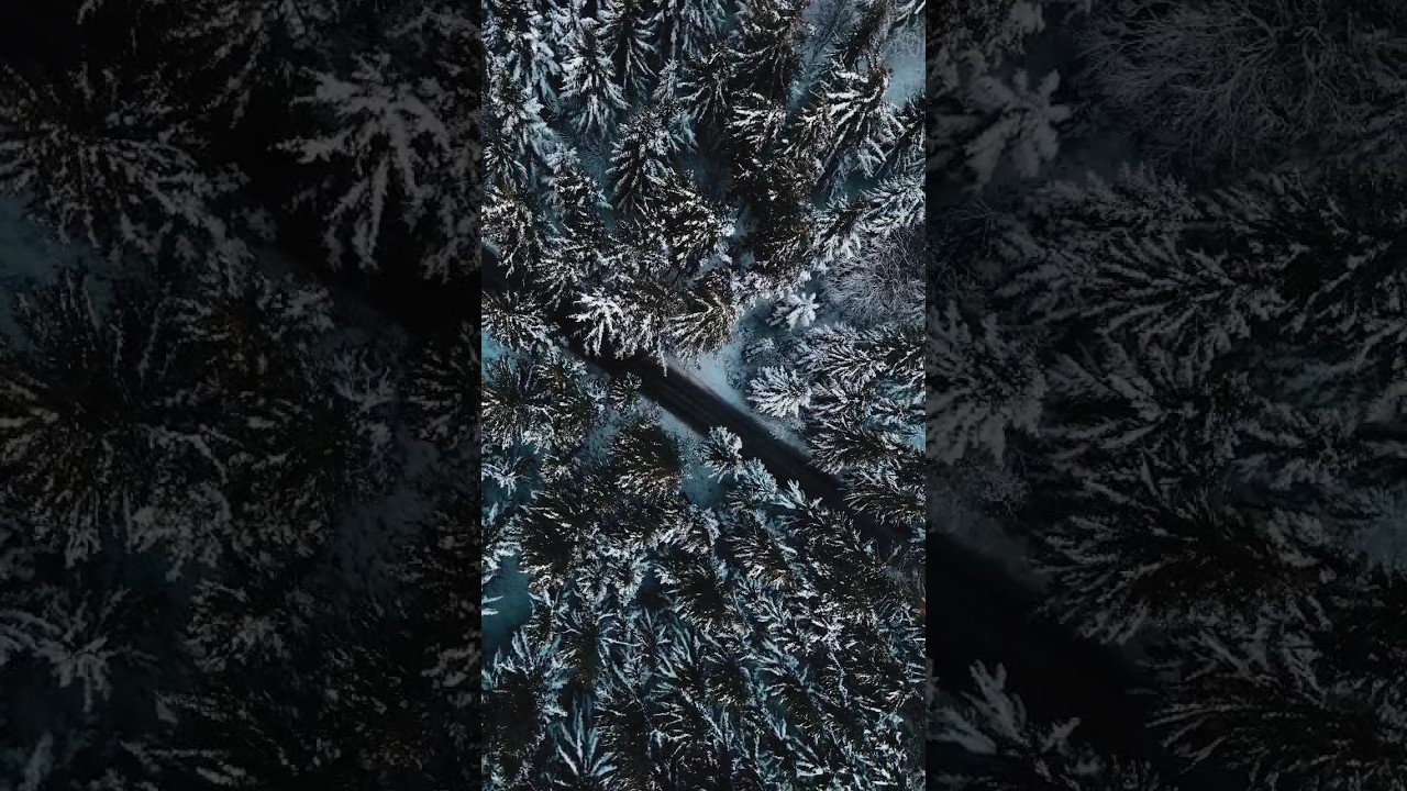 above a Winterwonderland - cinematic aerial Footage #cinematic #dji #winter #forest #mavic #aerial