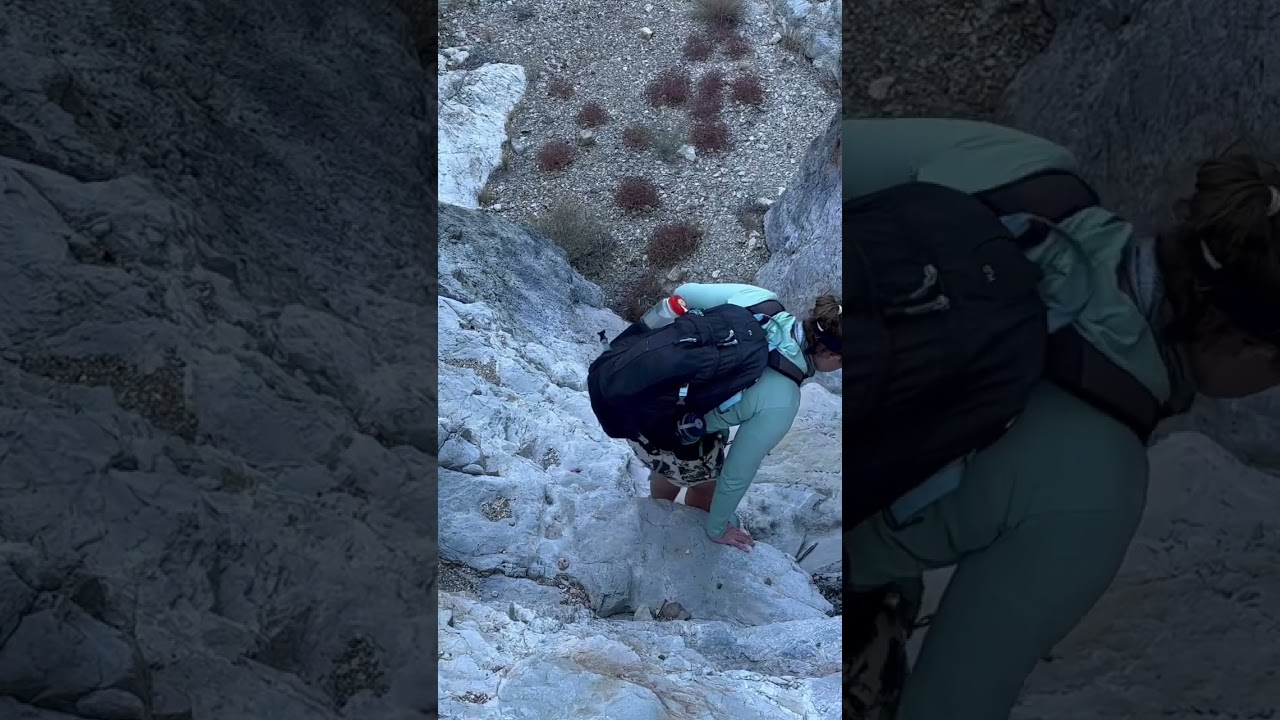What we saw in Big Bend Day 3