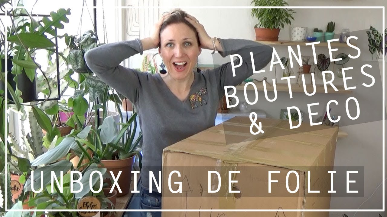 📦🌿 UNBOXING : UNE ABONNÉE M'ENVOIE UN INCROYABLE COLIS ! PLANTES, BOUTURES ET DÉCO 🌱